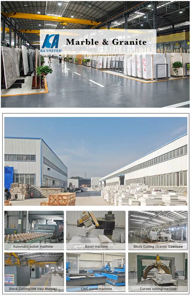 calacatta bianco marble calacatta bianco marble